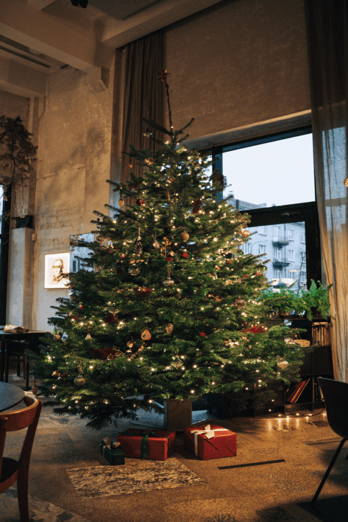 nestandarta-augstuma-nordmann-egle-300-cm-restorana-lielizmera